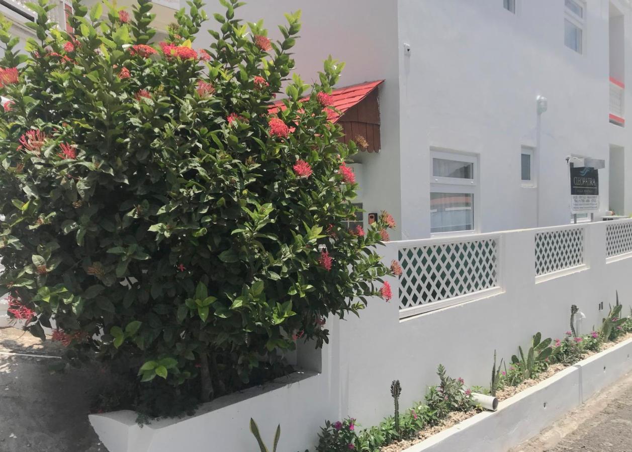 Cleopatra Villas - Sea View Rodney Bay Екстериор снимка
